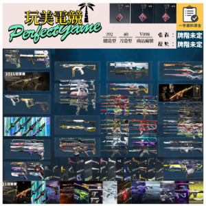 【編號V098】月付2000元起 主打絕版冠軍21套+22套+憐憫之刃+奧術套+至尊套+RGX套+電幻套+紫金套+蓋亞套+掠奪套+離子套+虛無套+深度凍結套+國王套 冠一二邊陲混沌異星EXE黑波等造型
