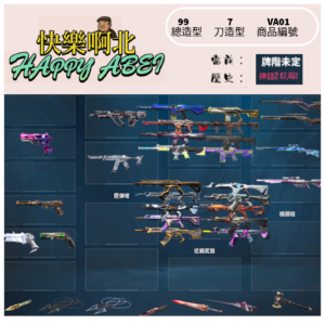 【編號VA01】月付500元起 主打冠軍25套+黑波套+VCTxPRX制式手槍+緋金聖龍卡特里娜紫金狂潮2.0等