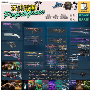 【編號V028】月付1700元起 主打冠軍22套+23套+25+VCT苦無+VCT爪刀+五周年龍刀+奧術2.0套+猛攻套+SPLASHX套+EXO套+異星套+掠奪套+泰坦套 冠二三五黑波混沌晶矽惡鬼邊陲末日電玩等造型
