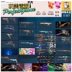 【編號TV010】月付1100元起 主打絕版冠軍22+24套+奧術+魔岩套+緋金套+混沌套+惡鬼套+RGX套+雙排日套 冠二四黑波異星獄燄紫金掠奪偵查等造型