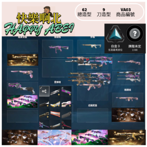 【編號VA03】月付600元起 主打 冠25套+猛攻套+泡泡糖套+靈花套+悍勇相位暴徒鎏金捍衛離子間諜